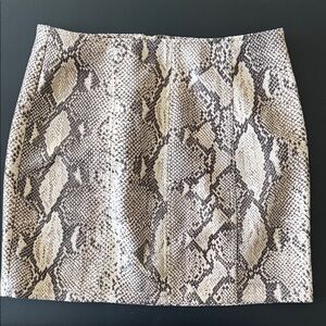 Snake Print Mini Skirt